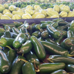 20171114_154850_jpg30