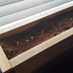 20180604_170031_jpg30