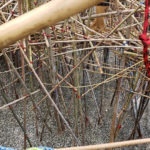 20180803_135517_jpg30